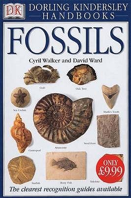 Fossils by Cyril Walker