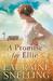A Promise for Ellie (Daughters of Blessing, #1)