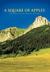 A Square of Apples The Journey of Daniel Fischer by Jan Tucker Mulligan