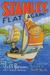Stanley, Flat Again! (Hardcover)