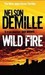 Wild Fire (John Corey, #4)