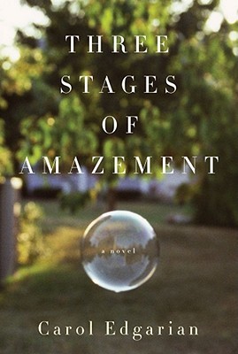 Three Stages of Amazement