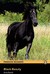 Black Beauty (Adaptation)