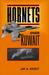 Hornets Over Kuwait by Jay A. Stout