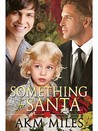Something for Santa 