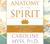 Anatomy of the Spirit: The Seven Stages of Power and Healing (Audio CD)