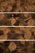 Varieties of Secu...