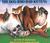 The Dog Who Had Kittens (Hardcover)