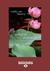 Song of Renewal (Large Print 16pt)