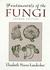 Fundamentals of the Fungi