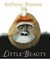 Little Beauty by Anthony Browne