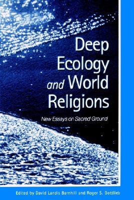 essay on Ecological Systems Theory
