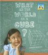 What in the World Is a Cube?