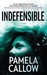 Indefensible (ebook)