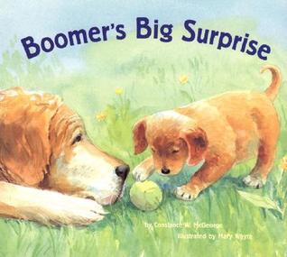 Boomer's Big Surprise by Constance W. McGeorge