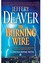 The Burning Wire (Lincoln Rhyme, #9)