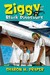 The Space Mission Adventure...