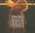 Angel Burn (Angel Trilogy, #1)