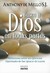 Busca A Dios en Todas Partes: Reflexiones Sobre los Ejercicios Espirituales de San Ignacio de Loyola = Seek God Everywhere (Paperback)