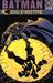 Batman: Bruce Wayne - Fugitive, Vol. 2 (Paperback)