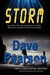 Storm by Dave Pearson Storm by Dave Pearson