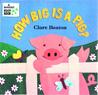 How Big is a Pig?