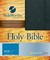 Holy Bible NIV