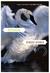 Devotion (Paperback)