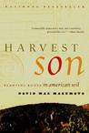 Harvest Son: Planting Roots in American Soil Harvest Son: Planting Roots in American Soil