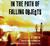In the Path of Falling Objects (Audio CD)