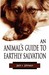 An Animal's Guide to Earthly Salvation by Jack R. Johnson An Animal's Guide to Earthly Salvation by Jack R. Johnson