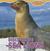 Discovering Sea Lions