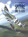 Spitfire Mks VI-F.24 - Combat Legend