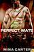 Perfect Mate (Paperback)