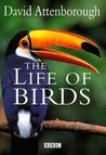 The Life of Birds by David Attenborough