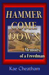 Hammer Come Down