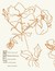 Letters: Poems 1953-56