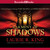 Garment of Shadows (Mary Russell, #12)