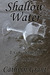 Shallow Water (A Suburban Noir Ghost Story #2)