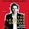 In the Pleasure Groove: Love, Death, and Duran Duran