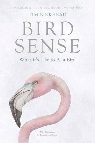 Bird Sense by Tim Birkhead Bird Sense by Tim Birkhead
