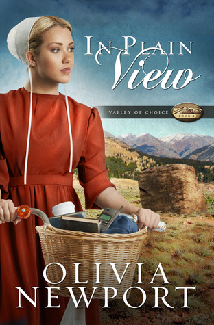 In Plain View (Valley of Choice #2)