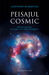 Peisajul cosmic: teoria corzilor și iluzia unui plan inteligent (Paperback)