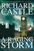 A Raging Storm - Im Auge des Sturms (Derrik Storm, #2)