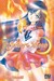 Sailor Moon - Pretty Guardian, Tome 3 (Paperback)