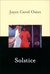 Solstice (Paperback)