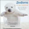 ZooBorns The Next Generation: Newer, Cuter, More Exotic Animals from the World's Zoos and Aquariums