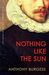 Nothing Like the Sun (Paperback)