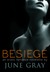 Besiege (DISARM,  #2)