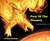 Fury Of The Phoenix (Exodus...